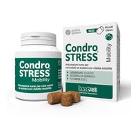 Innovet Condrostress Mobility Complément Alimentaire Chiens Adultes et Âgés, Raideurs, Mobilité, Confort Articulaire, Collagène, Acide Hyaluronique, Chondroïtine, Facile à Donner, 60 bouchées tendres