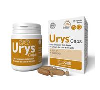 Innovet Gélules Urys® Caps - Bien-être voies urinaires basses chien et chat - Lot 30 gélules