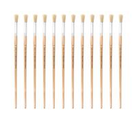 INNSPIRO Boîte de 12 pinceaux à Poils Ronds à Manche Long nº16