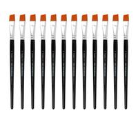 INNSPIRO Boîte de 12 pinceaux synthétiques Patte de chèvre nº18