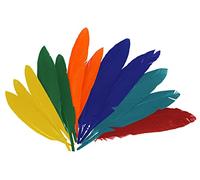 INNSPIRO Plumes indiennes Mix Couleurs Env. 25 mm x 140 mm, 60 u, Multi, 97330
