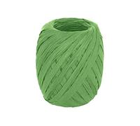 INNSPIRO Raphia en papier vert 4 mm x 30 m, pour travaux manuels, cadeaux et décorations