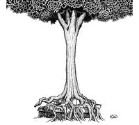 Inochi No ATO Ni Saita Han [Import Allemand]