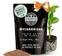 Inoculant mycorhizien de DYNOMYCO - Souches hautes performances - Formule concentrée - Améliore l'absorption des nutriments - Augmente les rendements des plantes (340 g/Up to 68 Plants)
