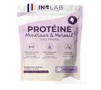 INOLAB Protéine Minceur 360 I Whey Morosil Magnesium B6 Chrome Acérola