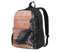 InOmak Cane Corso, grands chiens noirs, animaux de compagnie,Sac à dos à poches, sac à dos décontracté, sac d'école résistant à l'eau pour les voyages, la randonnée ou le camping