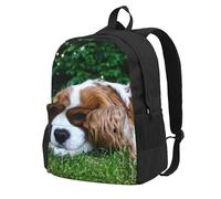 InOmak Cavalier King Charles Spaniel Brun Blanc,Sac à dos à poches, sac à dos décontracté, sac d'école résistant à l'eau pour les voyages, la randonnée ou le camping