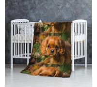 InOmak Cavalier King Charles Spaniel Chiens Bruns bouclés,Couverture Douce et Chaude en Flanelle Anti-Boulochage 76 x 127 cm