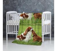 InOmak Cavalier King Charles Spaniel,Couverture Douce et Chaude en Flanelle Anti-Boulochage 76 x 127 cm