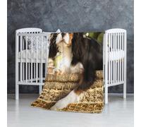 InOmak Cavalier King Charles Spaniel,Couverture Douce et Chaude en Flanelle Anti-Boulochage 76 x 127 cm