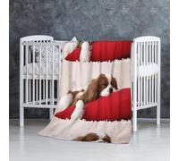 InOmak Cavalier King Charles Spaniel,Couverture Douce et Chaude en Flanelle Anti-Boulochage 76 x 127 cm