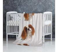InOmak Cavalier King Charles Spaniel,Couverture Douce et Chaude en Flanelle Anti-Boulochage 76 x 127 cm