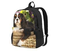 InOmak Cavalier King Charles Spaniel,Sac à dos à poches, sac à dos décontracté, sac d'école résistant à l'eau pour les voyages, la randonnée ou le camping