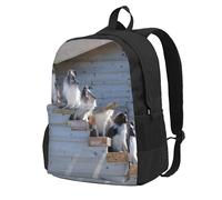 InOmak Chiens Border Collie Shetland SheepDogs Alaskan,Sac à dos à poches, sac à dos décontracté, sac d'école résistant à l'eau pour les voyages, la randonnée ou le camping