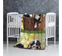 InOmak Chiots Bouvier Bernois,Couverture Douce et Chaude en Flanelle Anti-Boulochage 76 x 127 cm