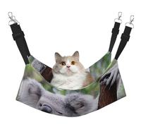 InOmak Koala sur Une Branche,Hamac Suspendu pour Chat, lit Suspendu Doux Double Face pour Petits Chiens,M