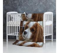 InOmak Mignon Cavalier King Charles Spaniel,Couverture Douce et Chaude en Flanelle Anti-Boulochage 76 x 127 cm