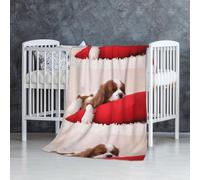 InOmak Modèle Cavalier King Charles Spaniel,Couverture Douce et Chaude en Flanelle Anti-Boulochage 76 x 127 cm