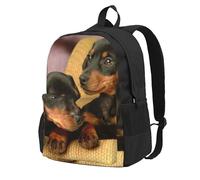 InOmak Teckel miniature,Sac à dos à poches, sac à dos décontracté, sac d'école résistant à l'eau pour les voyages, la randonnée ou le camping