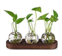 INOOMP 1 Ensemble Vase hydroponique de Propagation de Plantes Vase Clair pour la Culture hydroponique Base de Fleurs Porte-Plante en Verre en Bois Transparent