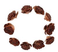 INOOMP 10 Pièces Fleurs Séchées Naturelles, Spécimen Floral de Pomme de Pin Marron, Matière Fleur Séchée, Aspect Vif, Beauté Naturelle, pour Projets Faits Main et Design Créatif, Garçon