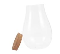 INOOMP 1pièce DIY Bouteille pour Micro De Betta avec Bryophytes Contenant pour Plantes Intérieur Vide