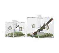 INOOMP 2 pièces Boîte Élevage Transparente pour Araignées Sauteuses et Reptiles Terrarium Acrylique avec Aérations Habitat Pratique pour Insectes et Petits Animaux Lot de Moyenne et