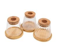 INOOMP 3 Ensembles Vases Verre Hydroponiques avec Support Station de Propagation pour Plantes Dintérieur Décoration de Bureau et Maison Texture Variée pour Jardin Miniature