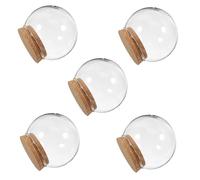 INOOMP 5 Pièces Cloche Verre Globe avec Fleurs Préservées Décoration de Bureau Compacte avec Bouchon Liège Protection pour Micro Paysage et Floral