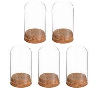 INOOMP 5 Pièces Dôme de Verre Léger et Portable Base en Bois pour Décoration de Fleurs Immortelles Surface de Table