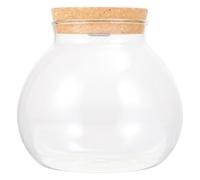 INOOMP Bocal Hydroponique en Verre Bouchon en Liège Naturel et Éclairage LED, Vase de Propagation Hermétique pour Plantes D’Intérieur et Décoration Bureau Minimaliste