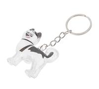 INOOMP Boîte de Conservation Cheveux Danimaux Scellée Porte Clés Charme Souvenir Chien Chat Protection Longue Durée Accessoire Pratique et Sentimental