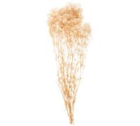 INOOMP Bouquet de Fleurs Séchées Gypsophile Beige Naturel, Décor Élégant pour Centre de Table, sans Arrosage, pour Décoration de Boutique ou Bureau en Automne