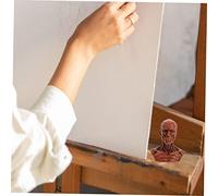 INOOMP Crâne Muscles Squelette Sculpture Décor Artistique pour Dessin et Enseignement