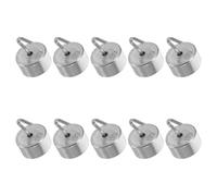 INOOMP Ensemble de Poids Chromés 10 G X10 pour Étalonnage de Balances Numériques, Crochet et Étui, pour Travaux Pratiques en Laboratoire et Pédagogie