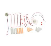 INOOMP Kit Scientifique DIY Batterie de Fruits pour Élèves Expérience Électricité Créative Kit Éducatif Physique avec Zinc-cuivre pour Projets Scolaires et Apprentissage Familial