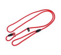 INOOMP Laisse pour Chien en Nylon Solide 0.6x140 Cm Corde Résistante la Morsure, Réglable pour Promenade et Dressage Couleur Aléatoire