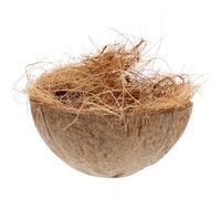 INOOMP Maison Oiseau Perroquet Noix De Nid Oiseau pour Cage Lit Coquille Naturelle Logement pour Animaux De Compagnie