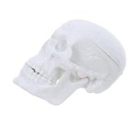 INOOMP Modèle de Crâne Anatomique Amovible en Plastique 6,35 X 5,08 Cm, Mini Figurine Pédagogique pour Cours D’anatomie, Laboratoire de Biologie, Étude Médicale et Enseignement en Classe