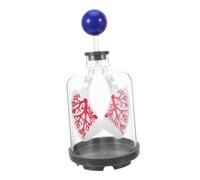 INOOMP Modèle Respiratoire Pulmonaire Diaphragme Bleu, Simulation de Mouvement pour Démonstration Scientifique en Classe, Matériel Pédagogique de Biologie et Modèle D'enseignement