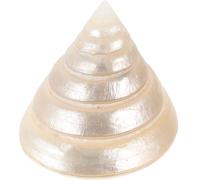 INOOMP Ornement Conque Lumineuse Beige en Coquillage, Décoration | Léger, Toucher Agréable, pour Plage et Loisirs Créatifs, Pièce Naturelle Adaptée aux Usages Décoratifs