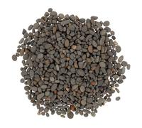 INOOMP Pierres Décoratives De Micropaysage 2-5 Mm en Galets Naturels pour Aquarium Et Diorama, Granulométrie Fine en Roche De Lit De Rivière, Mini Décor Rocheux De Table, Paquet 50 g