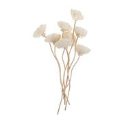 INOOMP Rituals Diffuseur Bâtonnets en Rotin Fleur pour Diffuseur de Parfum, 8pcs, Création D'aromathérapie Naturelle, pour Chambre Cuisine