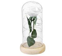 INOOMP Rose Éternelle Blanche sous Cloche en Verre Lumière LED et Socle en Bois, Décoration Mariage et Fête d'anniversaire, Ambiance Romantique, Alimentée par 3 Piles AAA