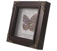 INOOMP Spécimen D’insecte Décoration Vintage Encadré, en Bois MDF pour | Présentation Éducative, Style Collector, Objet pour Collections Intérieures, Idée Présent Anniversaire ou Fête des Mères