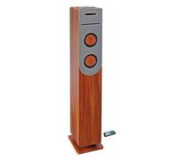 INOVALLEY HP34-CD-WOOD Tour de son Lecteur CD - Bluetooth - 100 W - USB - Bois et gris