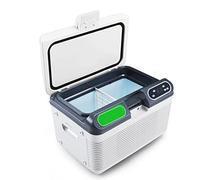 INPETS Mini réfrigérateur, Mini réfrigérateur de Voiture 12L AC, Refroidisseur Portable et réfrigérateur Chaud for Soins de la Peau for Aliments, Boissons, médicaments et Voiture