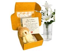 Inquiétude Ours Embrasse Dans Une Boîte, Mini Peluche | Os Dans Une Boîte Avec Carte D'Inspiration, Un Étreinte De Poche Mini Peluche Dans Une Boîte Cadeau De Sympathie | Conservation Pr