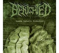 Insane Cephalic Production