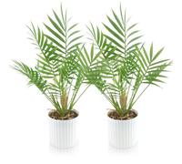 INSANYJ Fausses Plantes, 2 Pièces 35cm Plantes Artificielles Interieur, Vert Plante Artificielle Plastique Fausse Plante avec Pot S’Applique à Decoration Maison Salon Chambre Bureau Cuisine